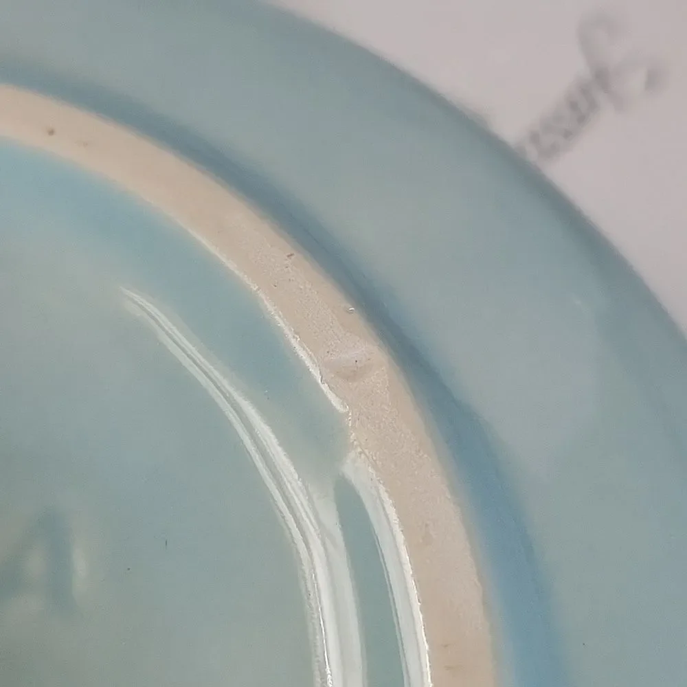 Fiestaware FIESTA CLASSIC RIM CEREAL Bowl CERAMIC DISH 19 OZ Sky Blue
